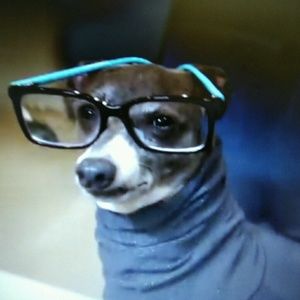 Meet your Posher, Kira